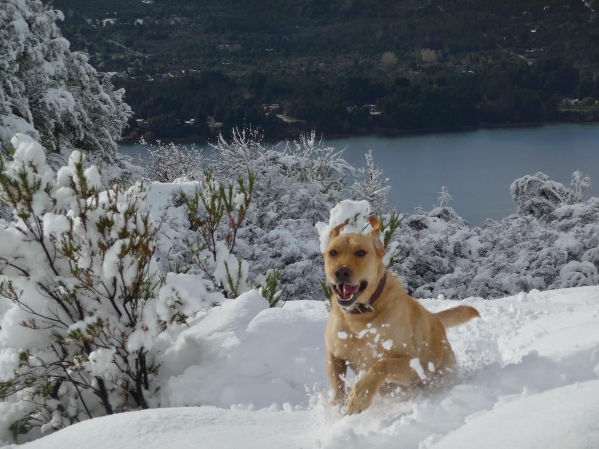Galileo Boutique Hotel San Carlos de Bariloche Kültér fotó